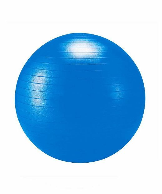 تصویر  توپ جیم بال Fitness تایوان