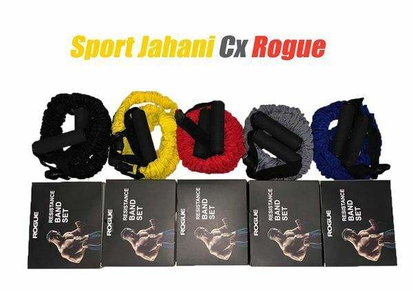 تصویر  کش Cx Rogue