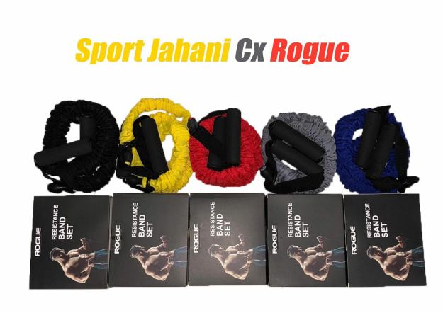 تصویر  کش Cx Rogue