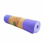 تصویر  مت یوگا دو طرفه TPE ضخامت 10 میل
