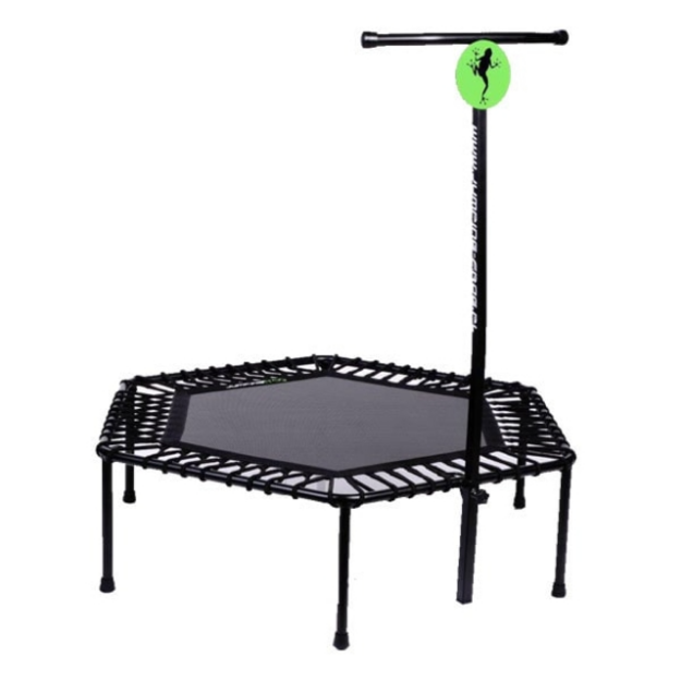 تصویر  ترامپولین ۶ ضلعی دسته دار فراگ اصلی